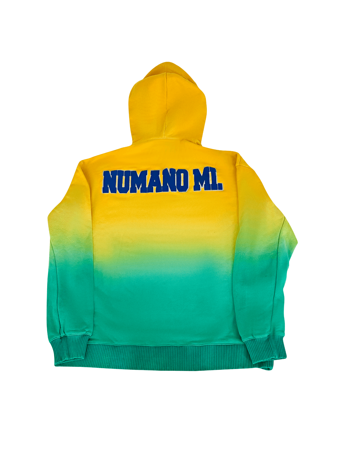 Palenque Hoodie – Back view featuring color-blocked cultural paneling